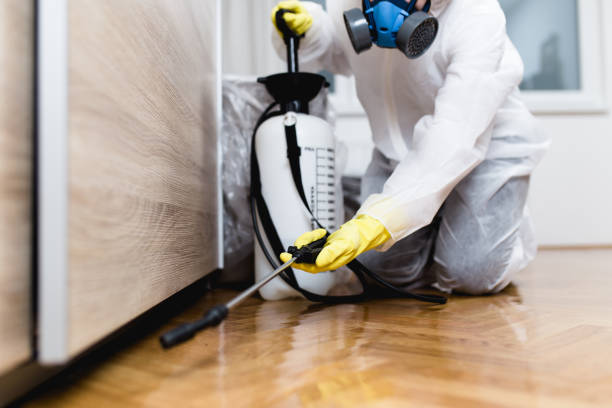 Best Pest Removal Services  in Woodlawn Beach, FL