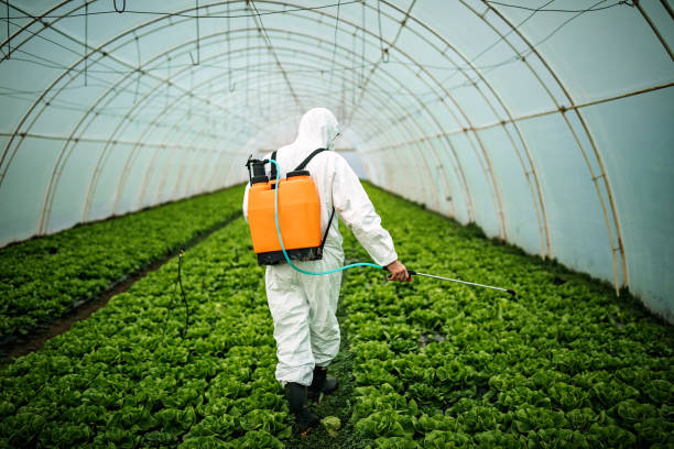 Best Local Pest Control Services  in Woodlawn Beach, FL