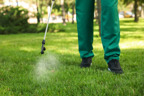 Best Emergency Pest Control  in Woodlawn Beach, FL
