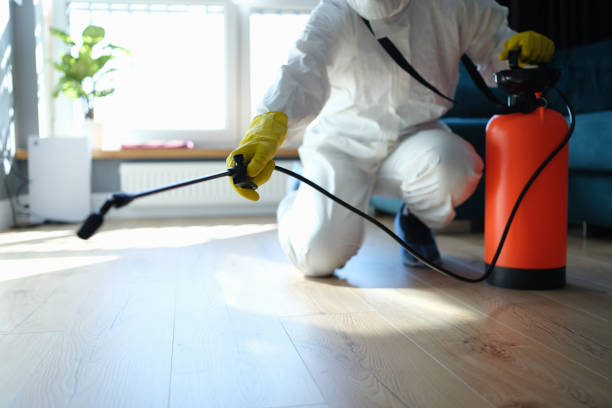 Best Flea Control Services  in Woodlawn Beach, FL