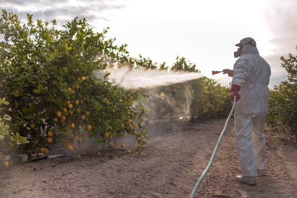 Best Commercial Pest Control Services  in Woodlawn Beach, FL