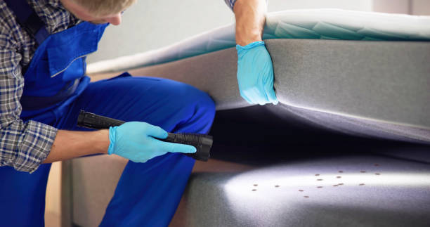Best Pest Control for Homes  in Woodlawn Beach, FL