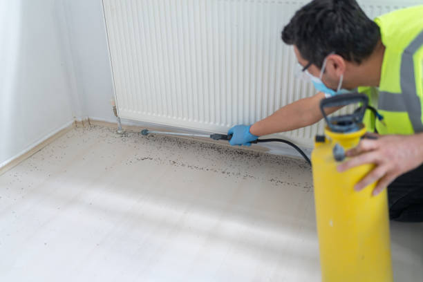 Pest Control Cost in Woodlawn Beach, FL